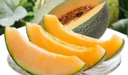 瓜州县吃瓜事件真相,真相与反思