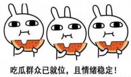 吃瓜人 中立,客观解读娱乐圈风云变幻