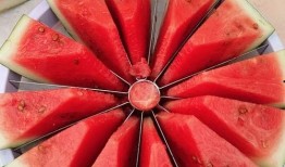 吃瓜的比赛视频,精彩纷呈的吃瓜比赛瞬间回顾