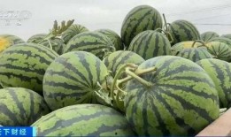 介休吃瓜现场,揭秘当地特色美食背后的故事