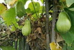 竖起耳朵吃瓜,揭秘娱乐圈幕后故事