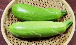 吃萝卜瓜,营养丰富的健康美食探索之旅