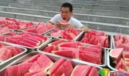 吃瓜党员,揭秘网络舆论场中的党员风采