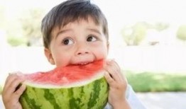 种瓜得瓜自己吃打一成语,探寻因果循环的智慧