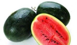 广西水电吃瓜,绿色能源助力乡村振兴的“吃瓜”故事