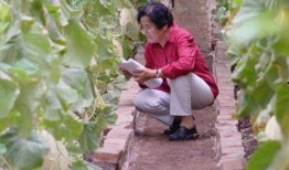 世纪中学吃瓜,吃瓜群众围观校园风云