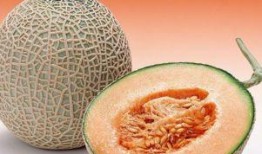 吃哈密瓜可以吃布洛芬吗,同食是否可行？