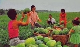 吃瓜大成,娱乐圈幕后那些事儿