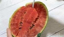 吃感情瓜,揭秘娱乐圈感情瓜背后的真相