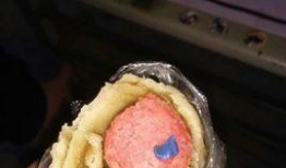 秦皇岛卫校吃瓜,揭秘校园生活趣闻