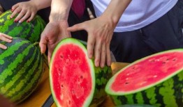 樱校吃瓜图片,揭秘校园吃瓜背后的故事