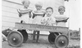 吃瓜证据,一场娱乐圈的全民狂欢