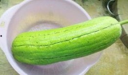 水瓜是否要剥皮吃