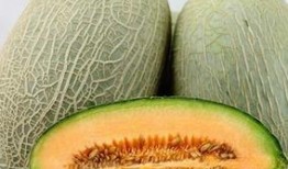 频繁吃哈密瓜,揭秘频繁食用哈密瓜的五大益处