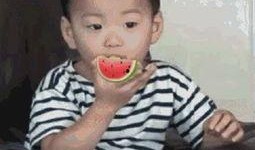 吃瓜表情包像素,吃瓜表情包背后的趣味故事