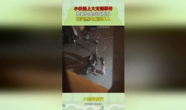 吃瓜群众大无语事件