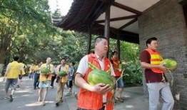 沂南吃瓜群众事件,网络舆论下的社会现象解析