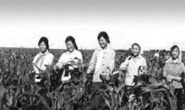 下乡知青吃瓜,下乡知青的夏日瓜香记忆