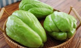 吃佛手瓜油,天然健康，美味生活新选择