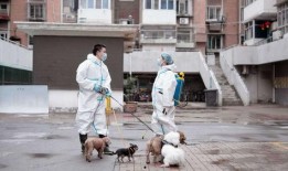 吃瓜看戏遛狗开播,直播新风尚