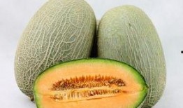 频繁吃哈密瓜,揭秘频繁食用哈密瓜的五大益处