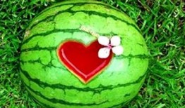 梦到吃瓜预兆什么,揭秘梦境中的神秘预兆