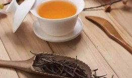 吃瓜与喝茶,品味生活，洞察世间百态