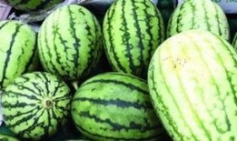 吃瓜很快视频,揭秘热门视频背后的故事