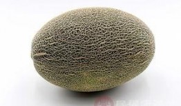 烂嘴吃哈密瓜,哈密瓜的甜蜜诱惑