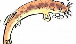 志龙吃瓜,揭秘娱乐圈幕后故事