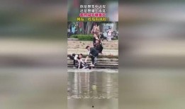 吃瓜群众视频电梯,电梯视频背后的真相与笑料