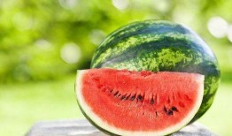 武陟吃瓜的最新信息,最新进展与热议焦点全解析