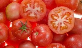 小云吃瓜番茄,一场别开生面的吃瓜体验