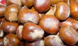 板栗瓜小产可以吃吗,板栗瓜小产期间适宜食用指南
