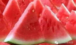 半寒吃瓜结尾完结,一场瓜田里的狂欢落幕