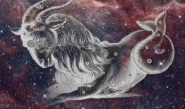 魔羯男不屑吃瓜,不屑于吃瓜，专注自我成长