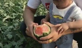 吃瓜小宝图片,揭秘娱乐圈的甜蜜瓜田