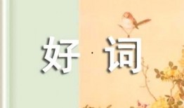 写吃瓜的好词好句,妙语连珠，品鉴人间烟火