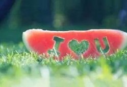 经典吃瓜语录,娱乐圈风云再起，揭秘幕后真相