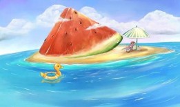 吃瓜群众的作息