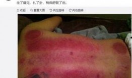 吃瓜后背纹身,揭秘吃瓜群众的神秘背纹