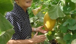 世纪中学吃瓜,吃瓜群众围观校园风云