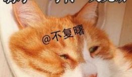 网络吃瓜图片搞笑女,吃瓜女生表情包，笑出腹肌！