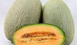湿疹吃哈密瓜,哈密瓜助力缓解不适