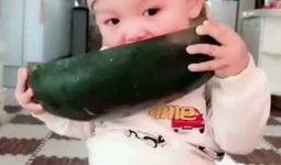 小崽子吃瓜视频,揭秘娱乐圈幕后故事