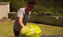 国外邻居吃瓜,揭秘国外邻居的“吃瓜”文化