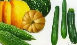 数伏吃三瓜,尽享三瓜清凉时光