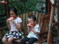 景区内吃瓜女孩,夏日休闲新风尚？