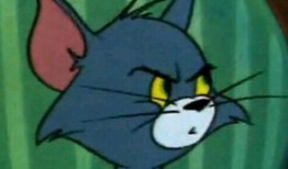 汤姆猫吃瓜头像,揭秘网红头像背后的趣味与魅力