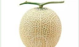 吃瓜群众贝壳,网络热议背后的真相